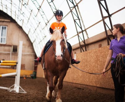 « L’équitation bienveillante », quelques années plus tard