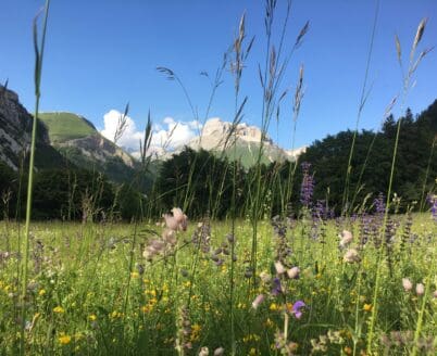 Je fais partie d’un monde singulier…